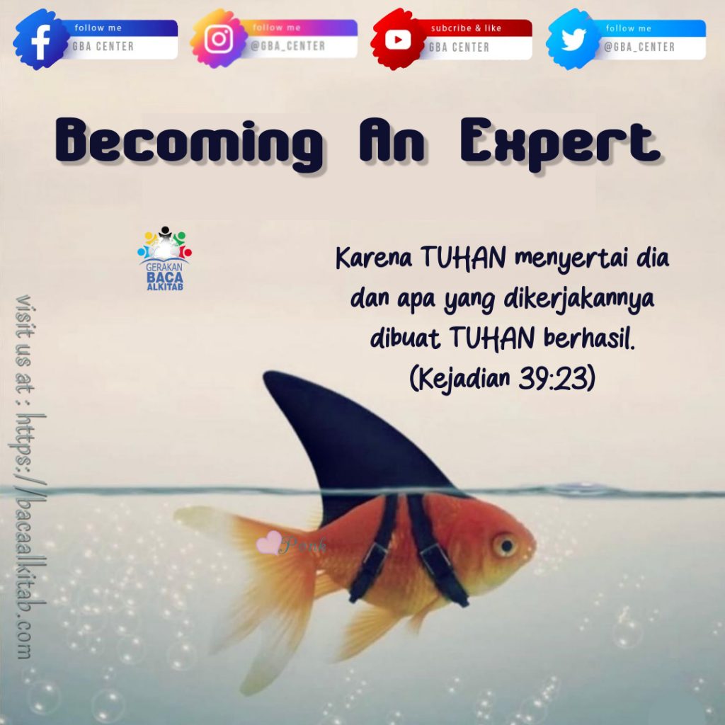 Becoming An Expert