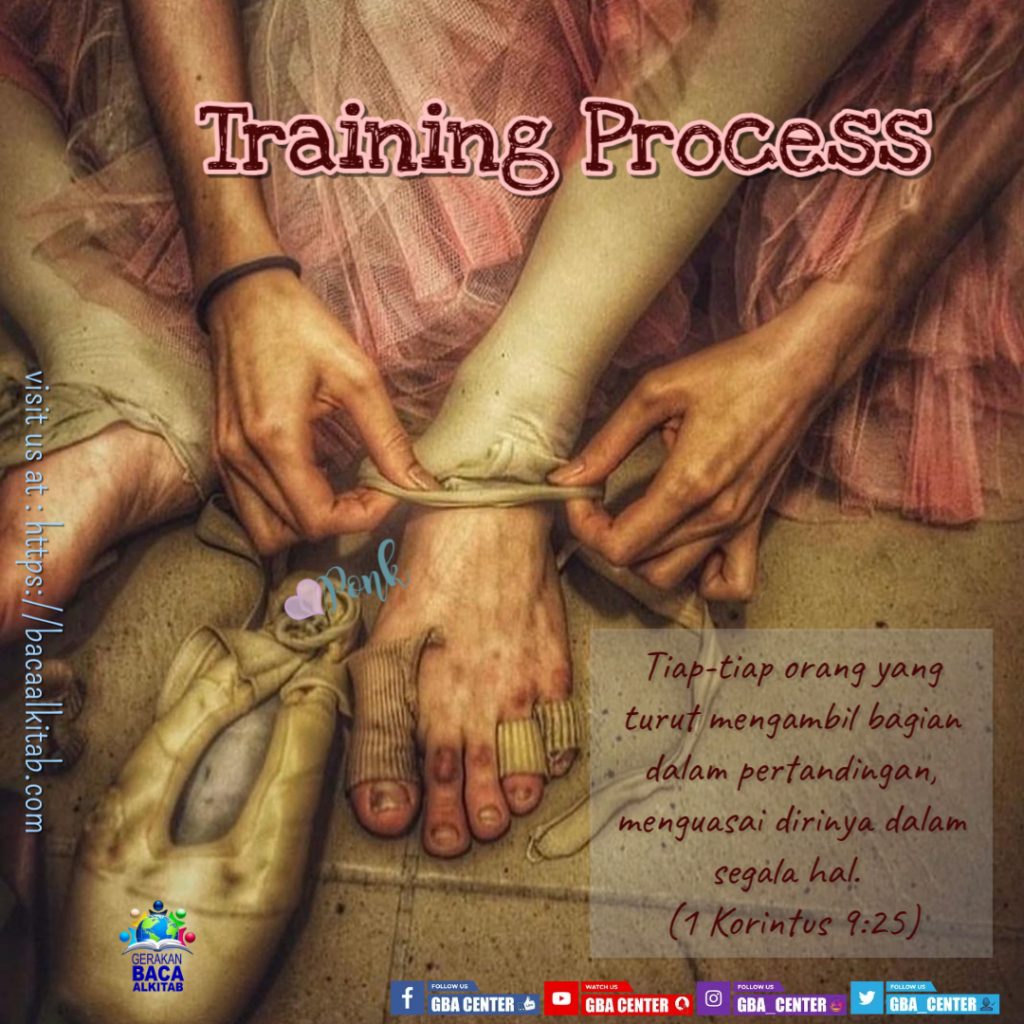 Training Process