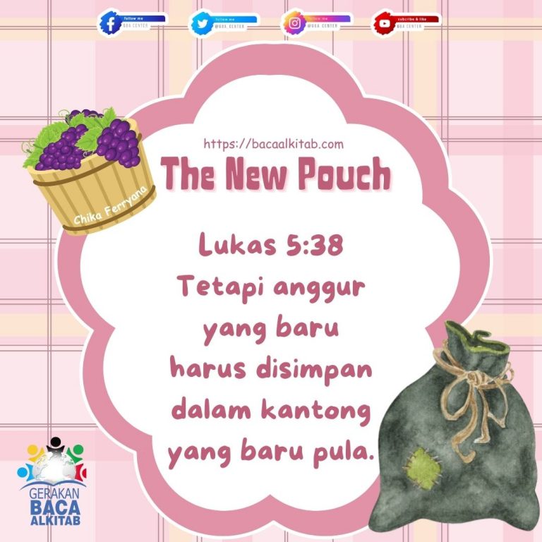 The New Pouch