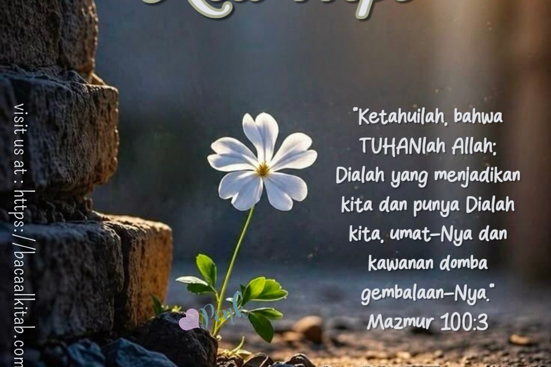 New Hope